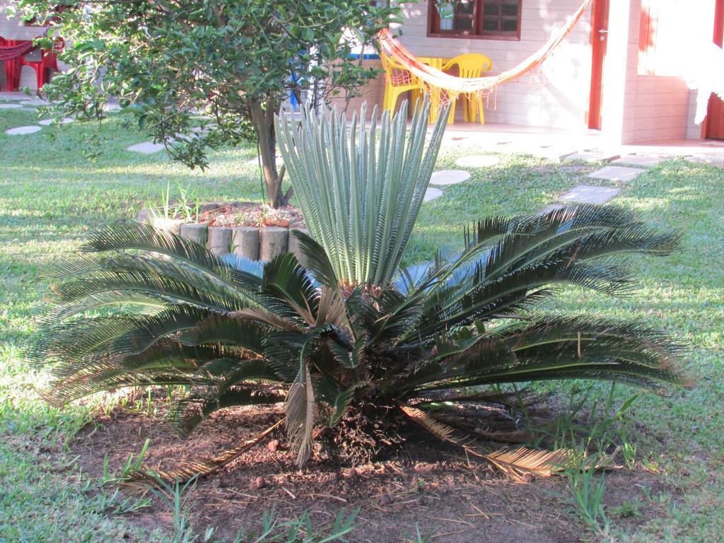 Ipitanga Iv